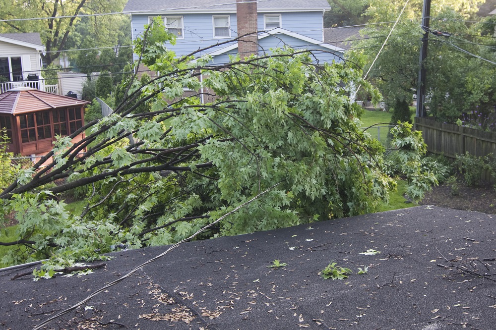 How To Stay Safe Around Downed Power Lines Ambit Energy